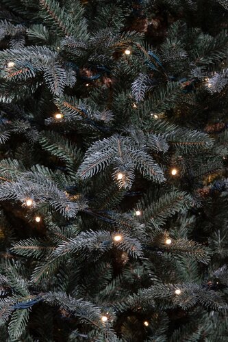 Frasier x-mas tree led blue - h120xd94cm - afbeelding 2