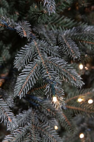 Frasier x-mas tree led blue - h120xd94cm - afbeelding 3