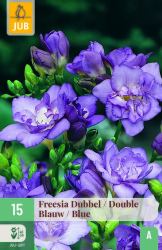 Freesia dubbel blauw 15st