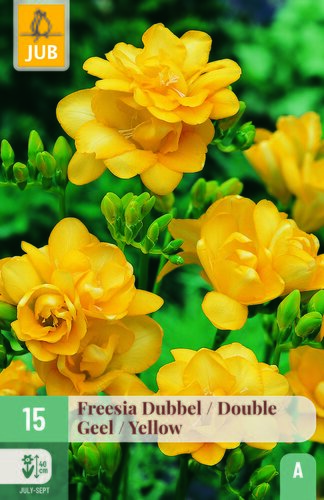 Freesia dubbel geel 15st