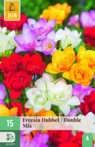 Freesia dubbel mix 15st