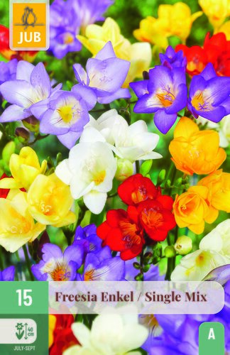 Freesia enkel mix 15st