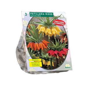 Fritillaria Imperialis Mixed per 3 - afbeelding 1