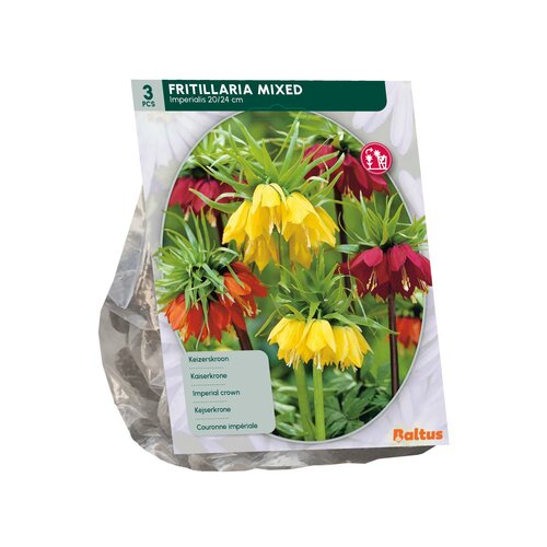 Fritillaria Imperialis Mixed per 3 - afbeelding 2