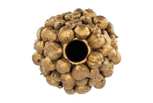 Fruitvaas goud - 20 x 22 cm - afbeelding 2