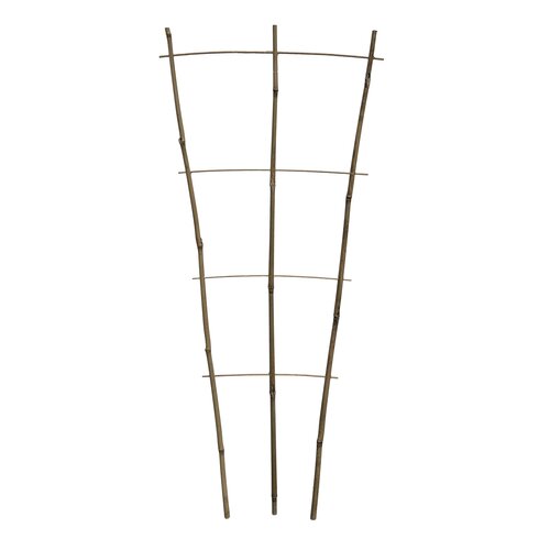 Garden Expert Bamboe plantensteun B 40 cm H 110 cm