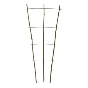 Garden Expert Bamboe plantensteun B 40 cm H 110 cm