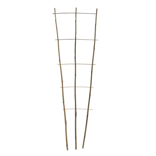 Garden Expert Bamboe plantensteun B 44 cm H 160 cm