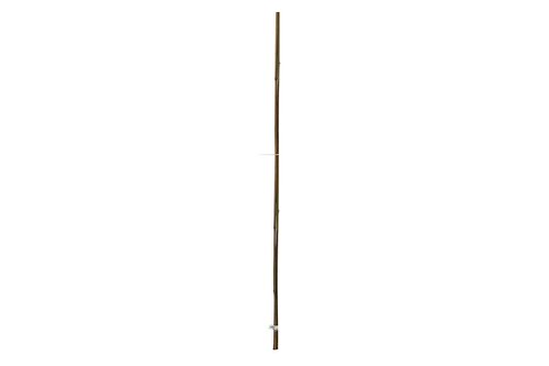 Garden Expert Bamboestok L 150 cm 12-14 mm (3 stuks per set)