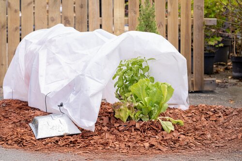 Garden Expert Kweektunnel non woven - 50x63x270cm Wit