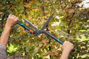 GARDENA 2 in 1 EnergyCut heggenschaar - afbeelding 4