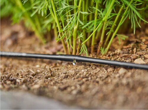 GARDENA Bovengrondse druppelbuis 4,6 mm (3/16") 15 m - afbeelding 3