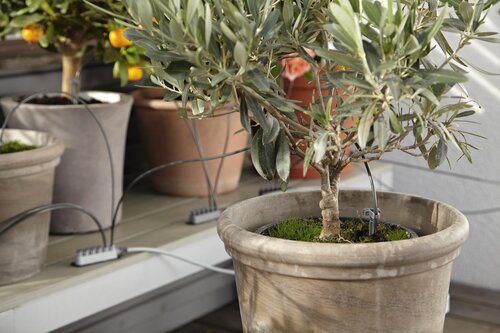GARDENA Vakantiebewatering - afbeelding 3