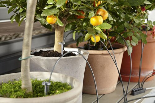 GARDENA Vakantiebewatering - afbeelding 4
