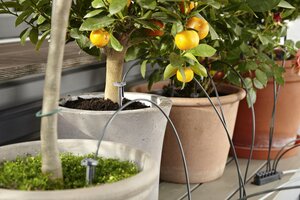 GARDENA Vakantiebewatering - afbeelding 4