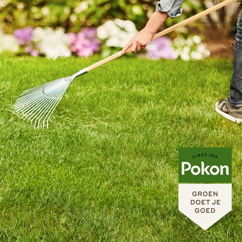 Pokon Gazonm + Kalk 3-in-1 15m2 - afbeelding 4