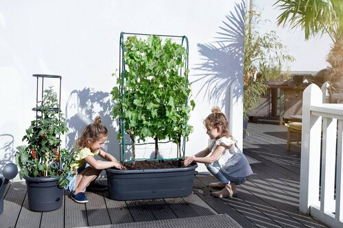 Gb veggie wall H80cm liv bl - afbeelding 3