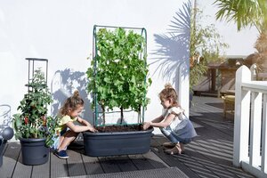 Gb veggie wall H80cm liv bl - afbeelding 3
