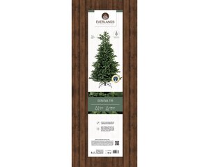 Geneva Fir hinged tree - H 240 x D 136 cm - afbeelding 4