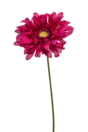 Gerbera Tak Zijde - 80cm Beauty