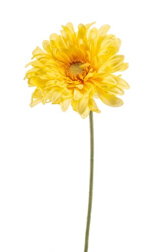 Gerbera Tak Zijde - 80cm Geel