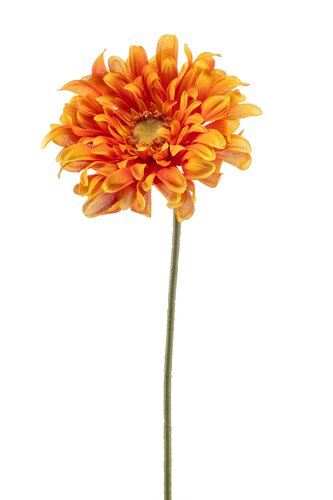 Gerbera Tak Zijde - 80cm Oranje