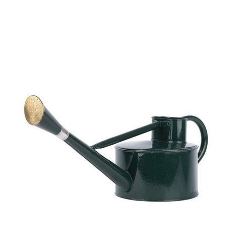 Gieter groen klassiek 5l