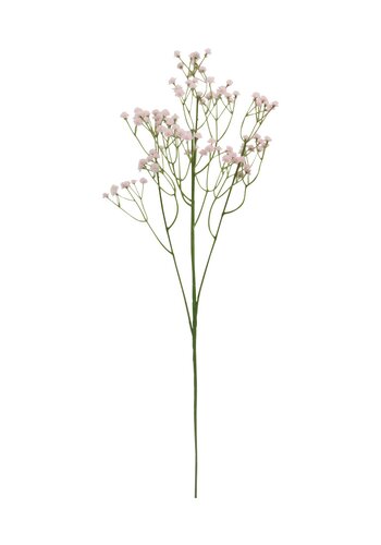 Gipskruid Roze 64 cm