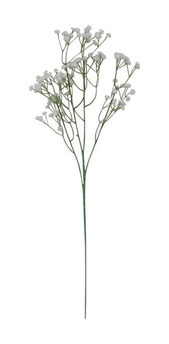 Gipskruid Wit 64 cm