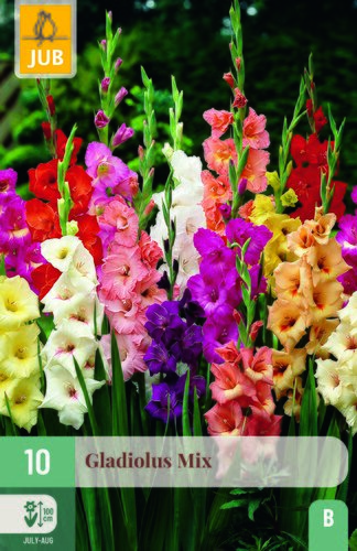 Gladiolus mix 10st