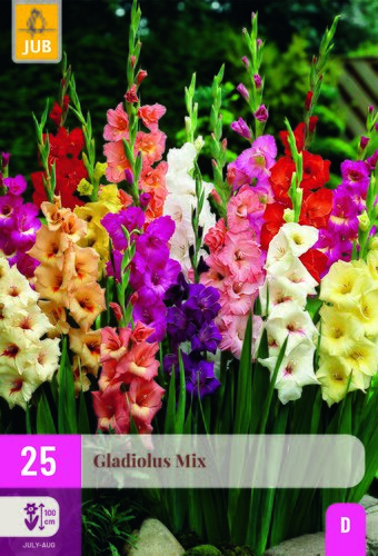 Gladiolus mix 25st