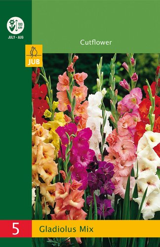 Gladiolus mix 5st