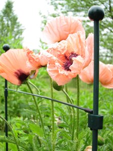 Glasfiber grondpin - 8 mm 50 cm - afbeelding 2