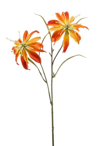 Gloriosa Tak Zijde - 58cm Oranje