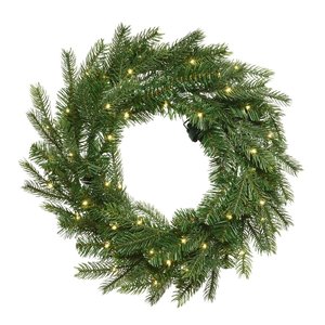 Grandis Fir LED Kerstkrans Buiten Groen - H 80 x D 80 cm