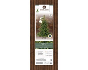 Grandis Fir prelit hinged tree - H 180 x D 132 cm 400 L - afbeelding 4