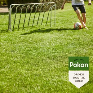 Pokon Graszaad Inzaai 250gr - afbeelding 4