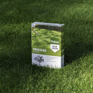 Graszaad Schaduw 1kg - afbeelding 3