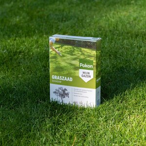 Graszaad Schaduw 250gr - afbeelding 3