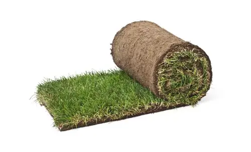 Graszoden speelgazon - 1 m²