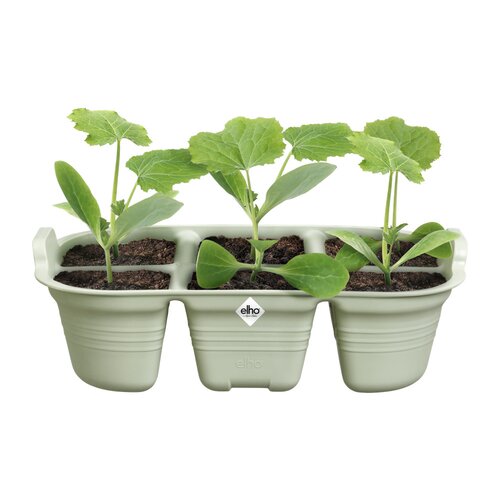 green basics zaaitray 22cm steengroen 14,5x22x7cm - afbeelding 2