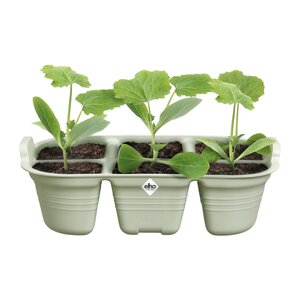 green basics zaaitray 22cm steengroen 14,5x22x7cm - afbeelding 2
