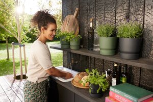 greenville rnd 16cm blad groen - afbeelding 3