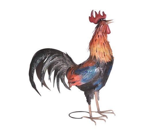 Haan 50 x 22 x 55 cm