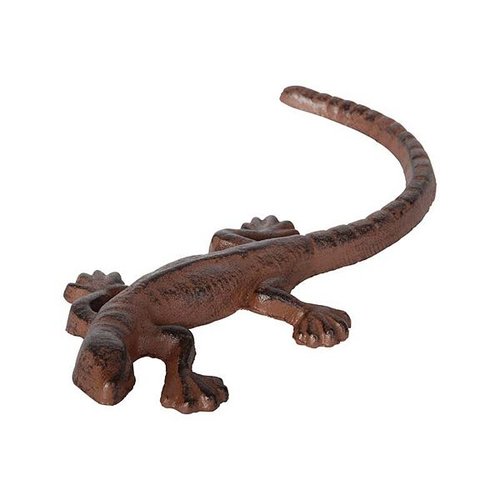 Hagedis 24,3 cm