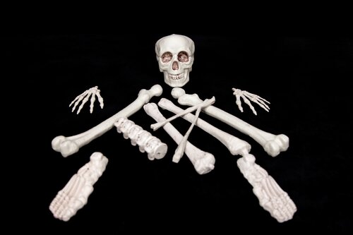 Halloween zakje botten 12 stuks