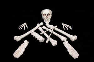 Halloween zakje botten 12 stuks