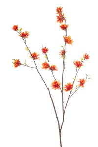 Hamamelis spray orange 110cm