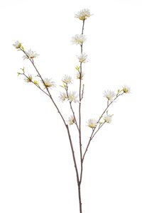 Hamamelis spray white 110cm