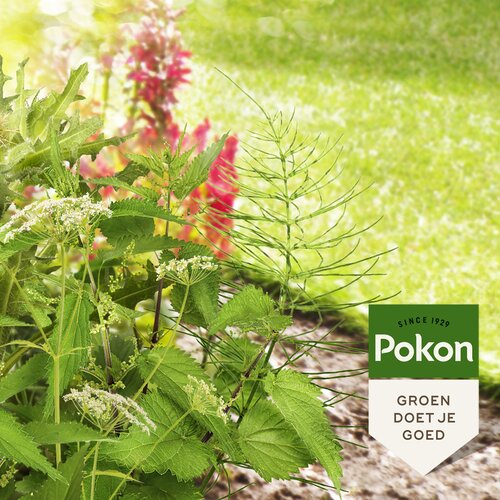 Pokon HardnekOnkruid Conc 100ml - afbeelding 3